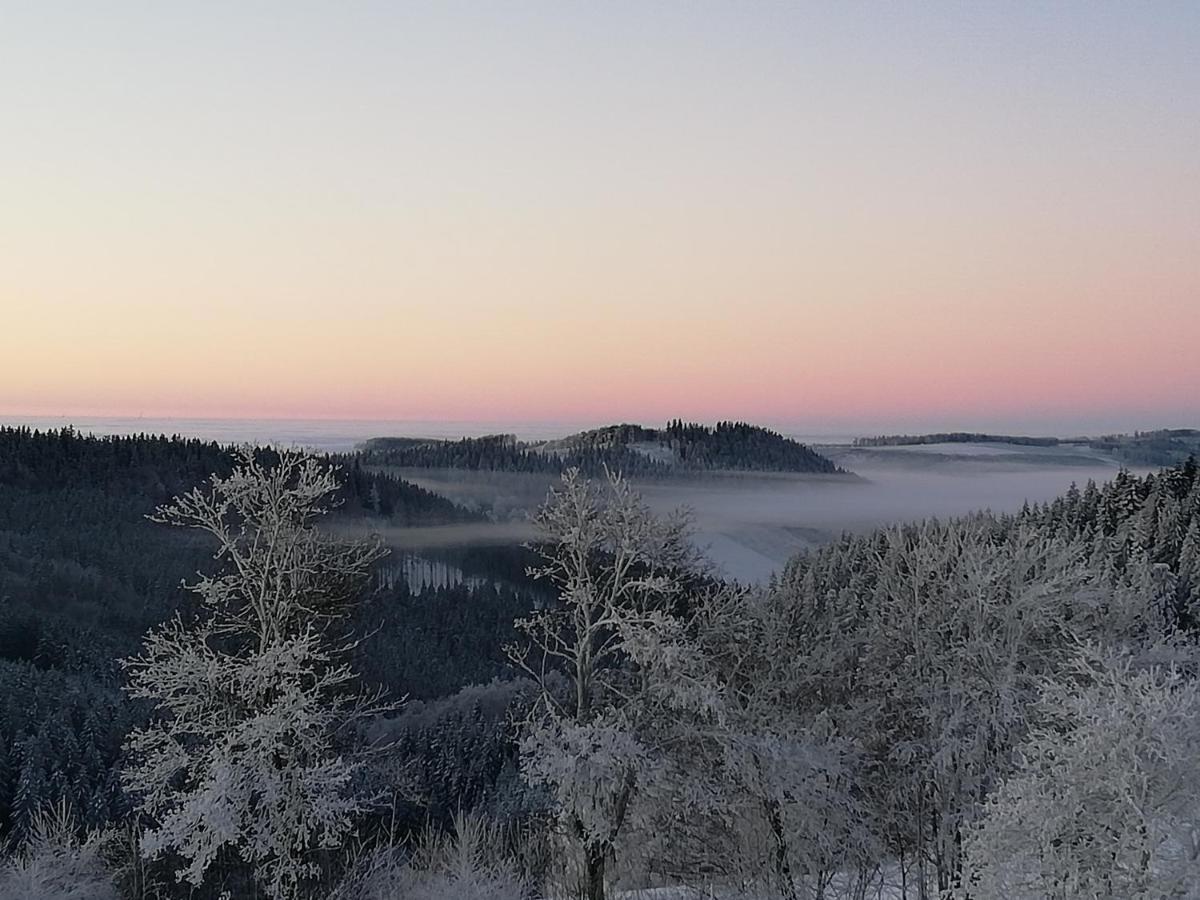 Ferienwohnung Astenrefugio Winterberg Eksteriør billede